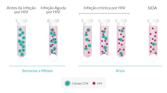 evolucao_HIV tudo sobre o hiv, sintomas do hiv e prevenção - vihda